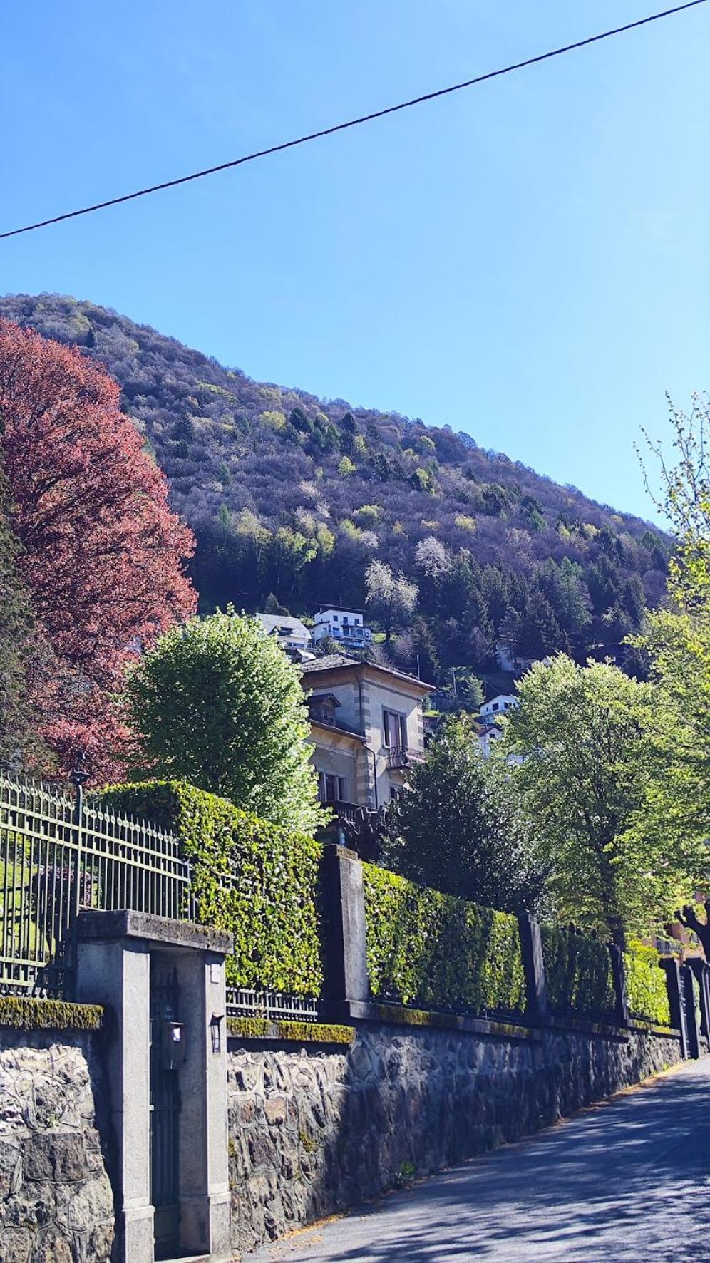 Villa Alma, Lake Como Bed&Breathe Сан-Феделе-Интельви Экстерьер фото